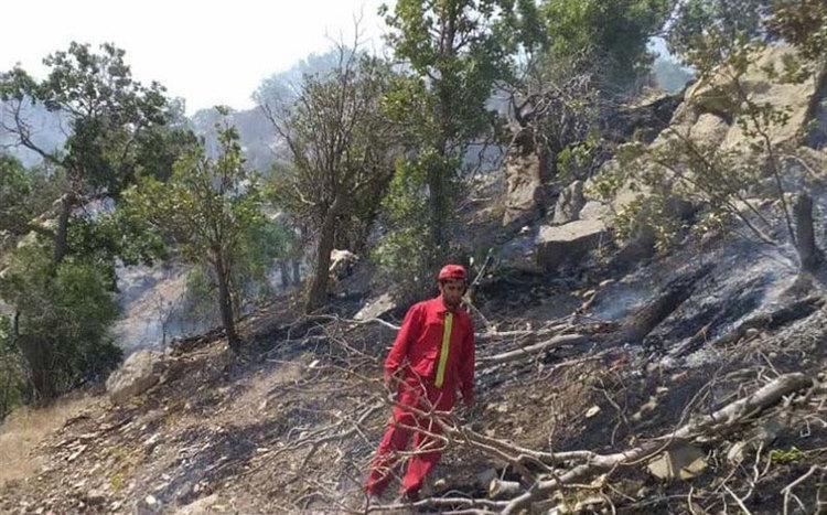 آتش به جان جنگل های اطراف گرگان افتاد آتش به جان جنگل های اطراف گرگان افتاد